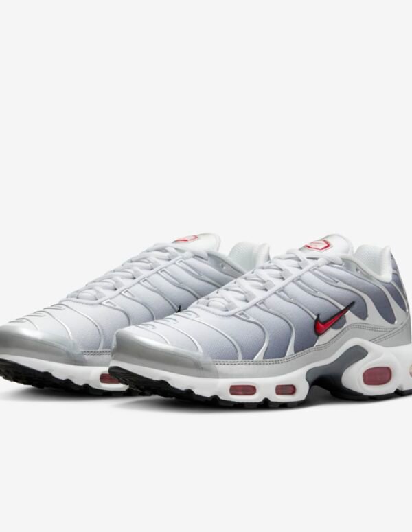 Nike Air Max Plus Sneakers In Silver And Red